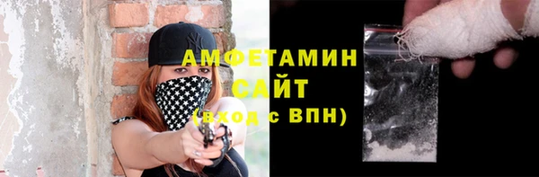соль ск Новозыбков