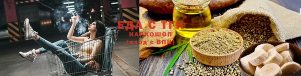 соль ск Новозыбков