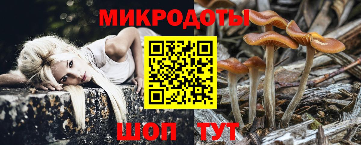 Курск  Галлюциногенные грибы мухоморы  Вход с VPN 