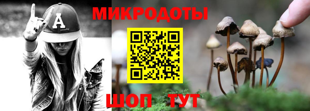 Галлюциногенные грибы Psilocybine cubensis Курск